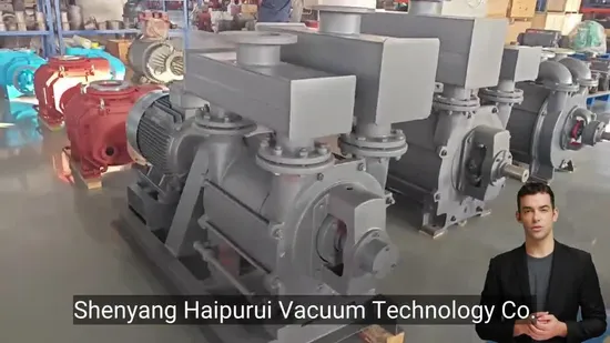 Xd40 Type High-Efficiency Rotary Vane Vacuum Pump for Packaging Solutions